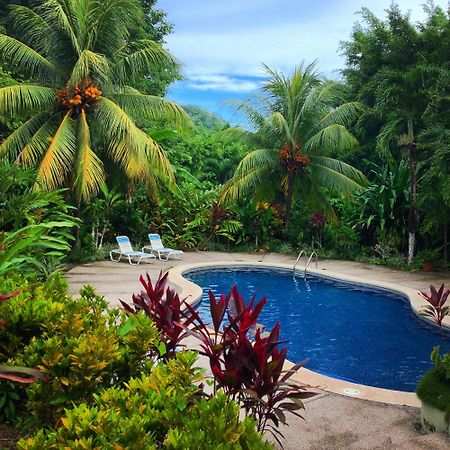 Star Mountain Jungle Lodge & Horse Ranch Malpais Esterno foto