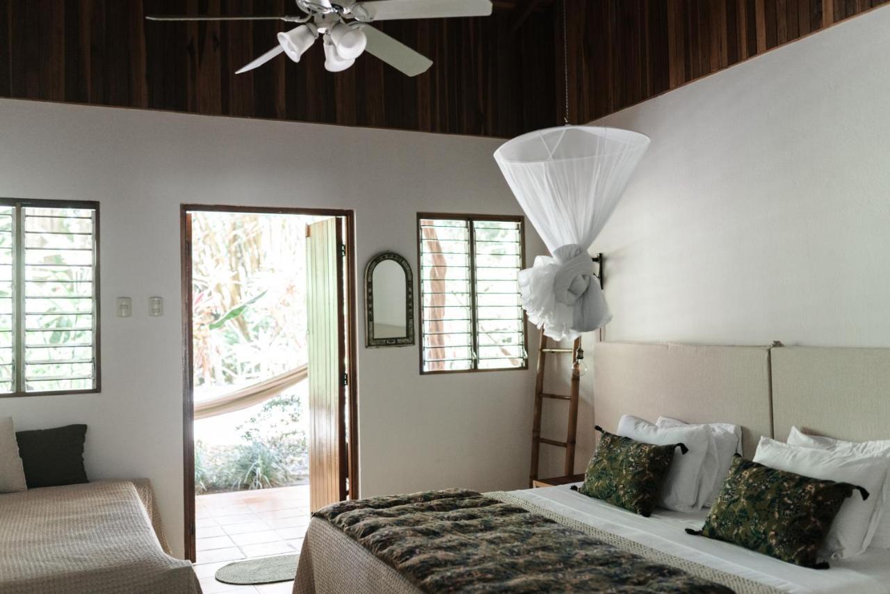 Star Mountain Jungle Lodge & Horse Ranch Malpais Esterno foto