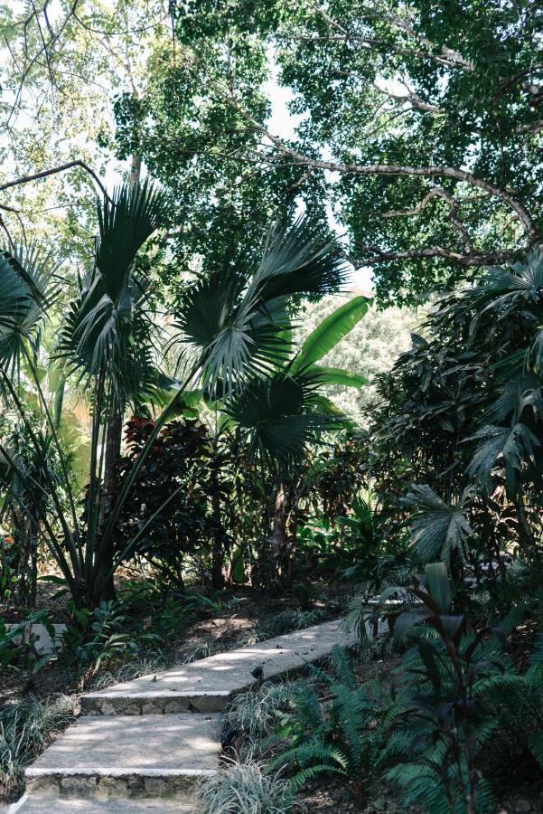 Star Mountain Jungle Lodge & Horse Ranch Malpais Esterno foto