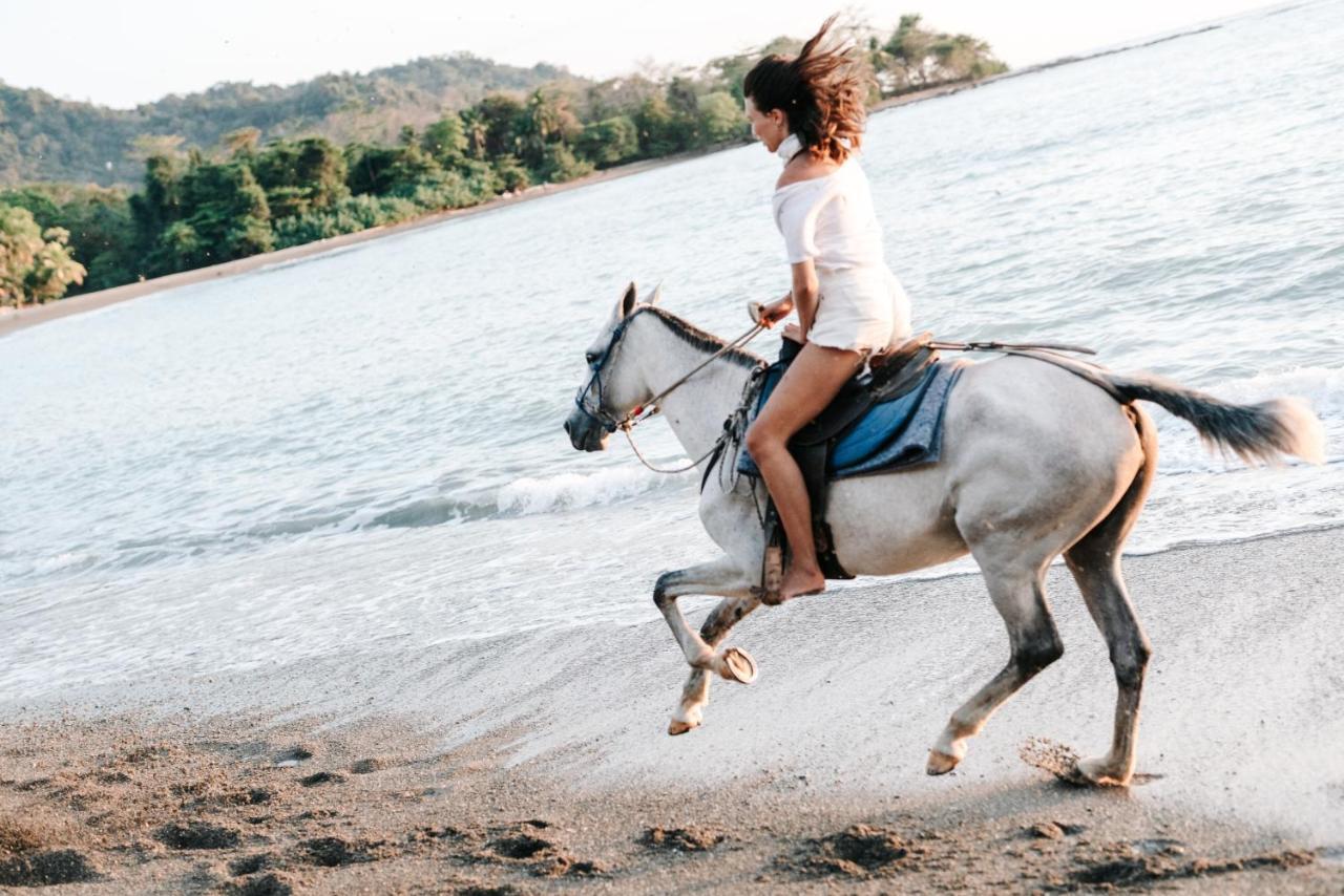 Star Mountain Jungle Lodge & Horse Ranch Malpais Esterno foto