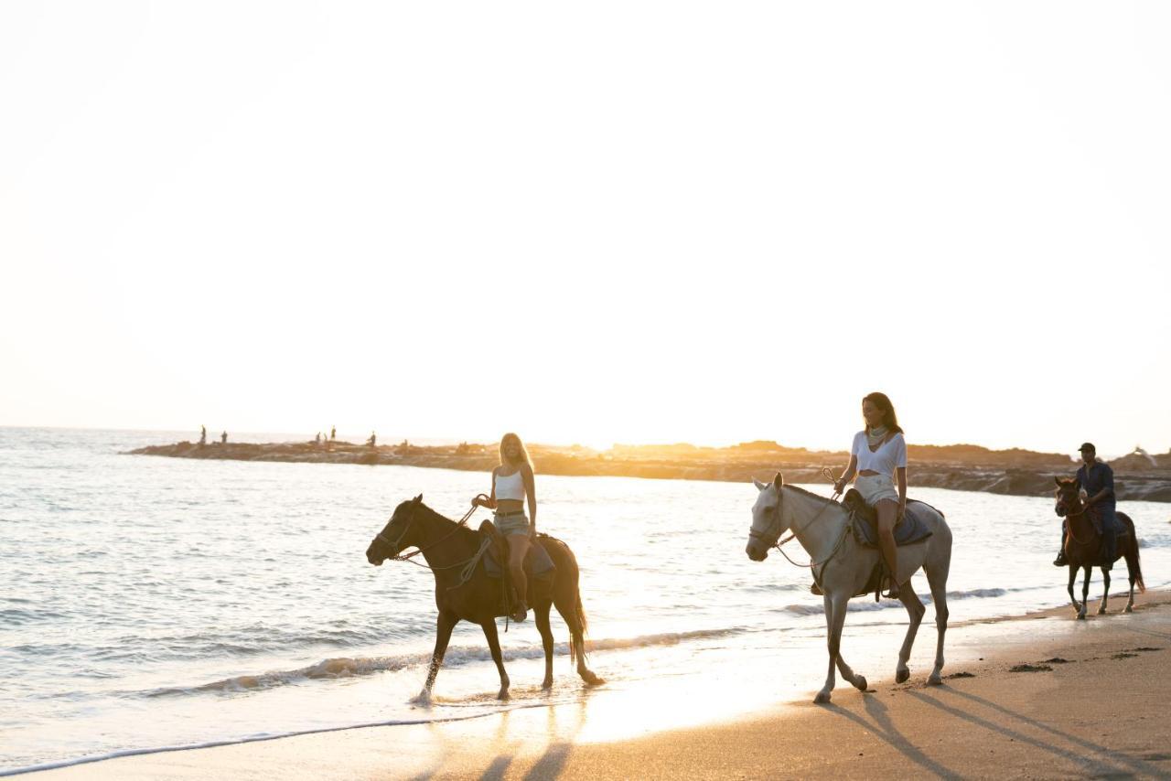 Star Mountain Jungle Lodge & Horse Ranch Malpais Esterno foto