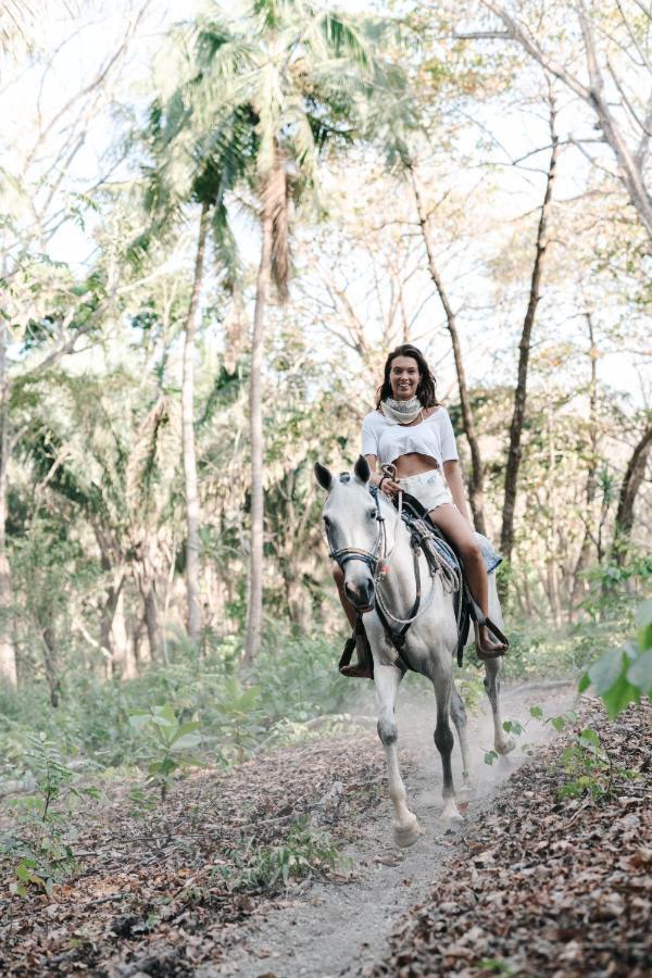 Star Mountain Jungle Lodge & Horse Ranch Malpais Esterno foto