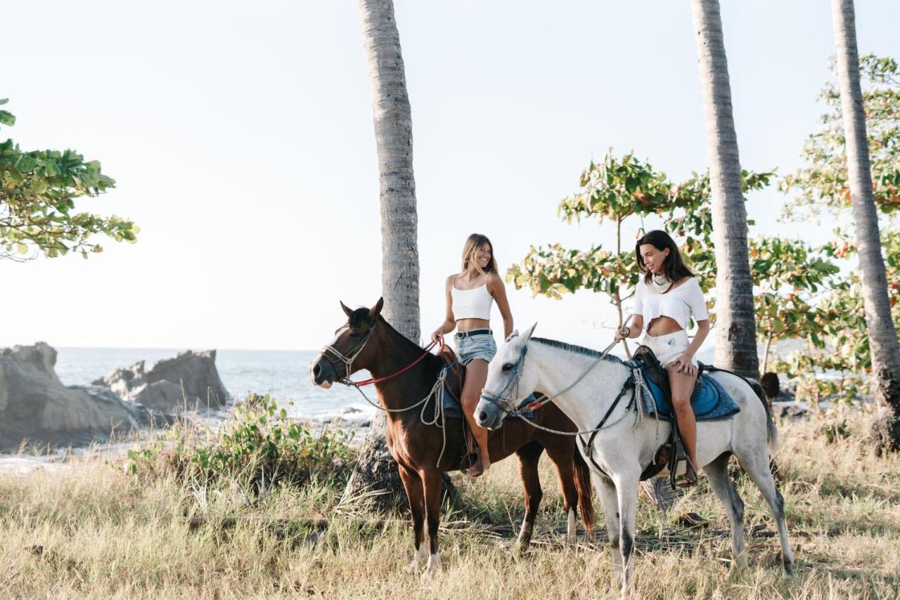 Star Mountain Jungle Lodge & Horse Ranch Malpais Esterno foto