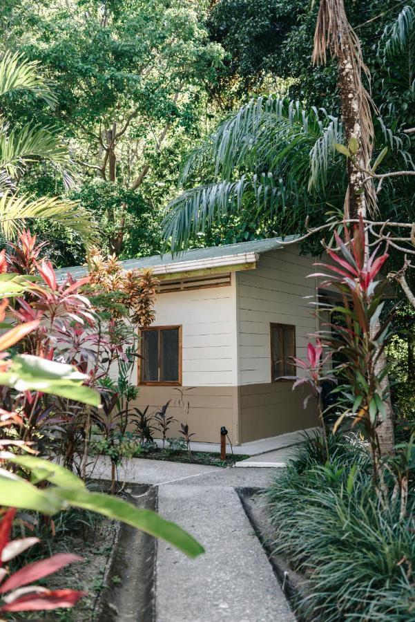 Star Mountain Jungle Lodge & Horse Ranch Malpais Esterno foto